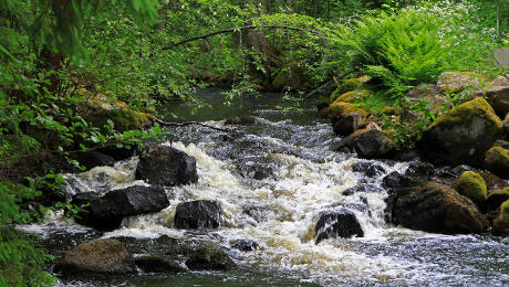 Stocking streams with salmon and trout eggs in biodegradable boxes
